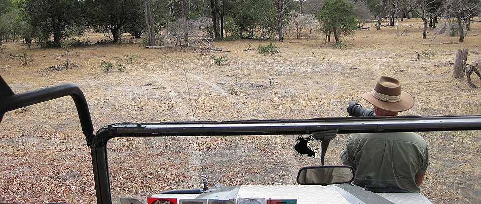 African Wild Dogs (Lycaon pictus)