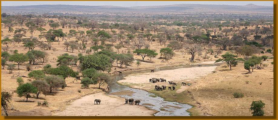 im Tarangire National Park