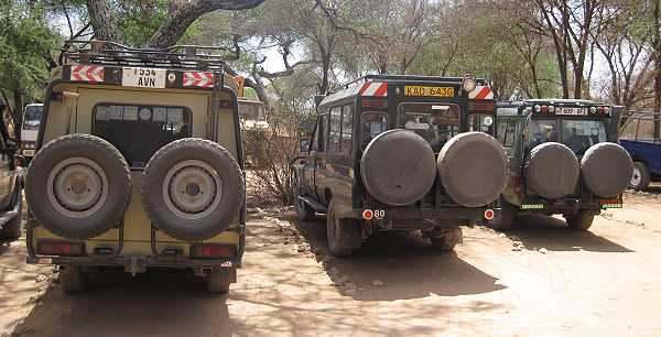 Tarangire Safari Lodge