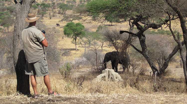 Tarangire Safari Lodge