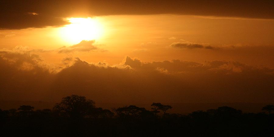 Tarangire Safari Lodge