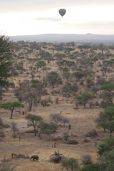 Tarangire Safari Lodge