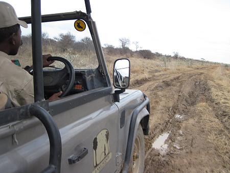 Selous Game Drive
