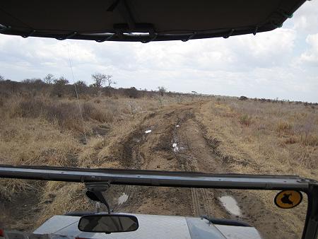 Selous Game Drive