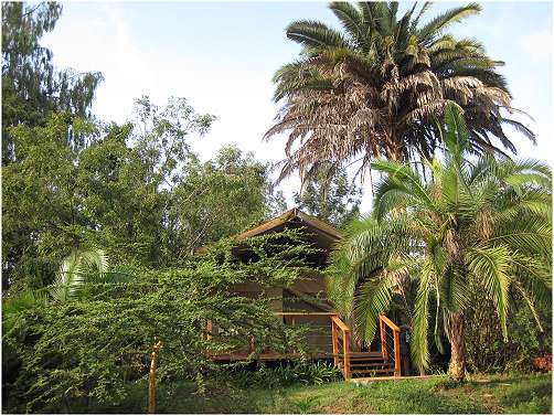 Wildebeest Eco Camp - Nairobi