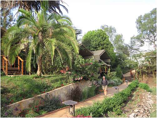 Wildebeest Eco Camp - Nairobi