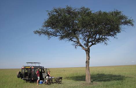 bush breakfast, Masai Mara
