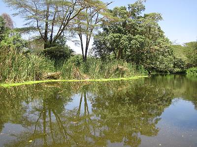 Hunters Lodge, Kenya