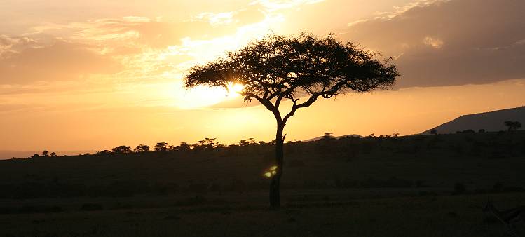 Sonnenaufgang masai mara