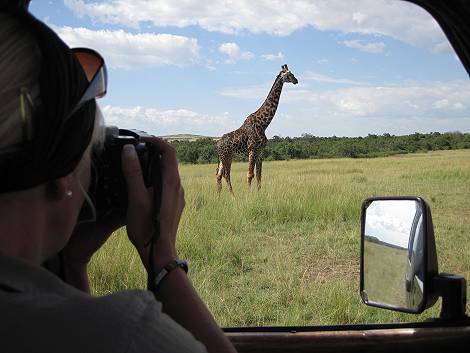 Pirschfahrt in der Masai Mara