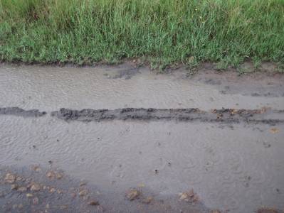 Pirschfahrt in der Masai Mara