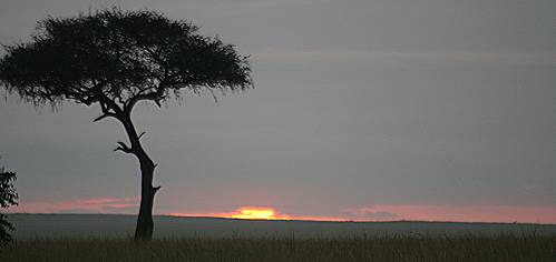 Sonnenaufgang Masai Mara