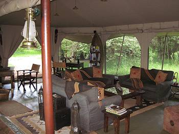 im Mara Bush Camp