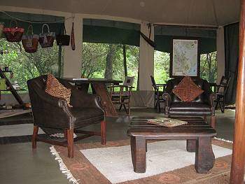 im Mara Bush Camp