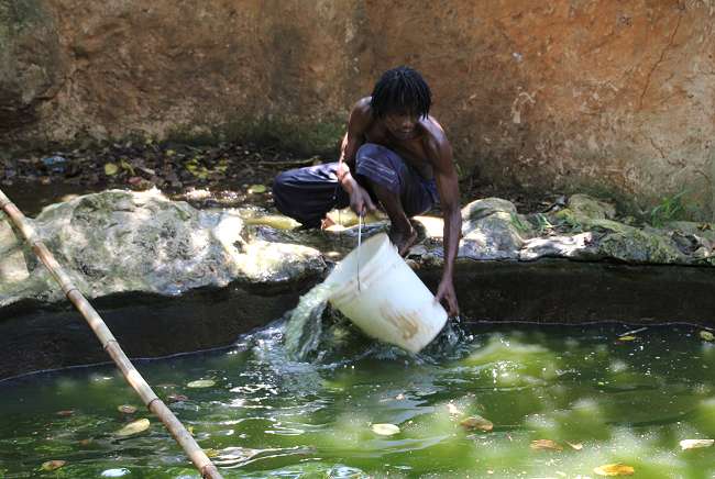 Reinigung der Krokodilanlage im Boko Boko