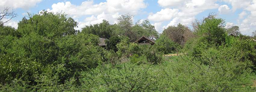 Ndololo Camp - Tsavo Ost National Park