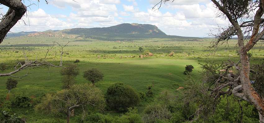 Ngulia Bandas oder Rhino Valley Lodge - Tsavo West National Park