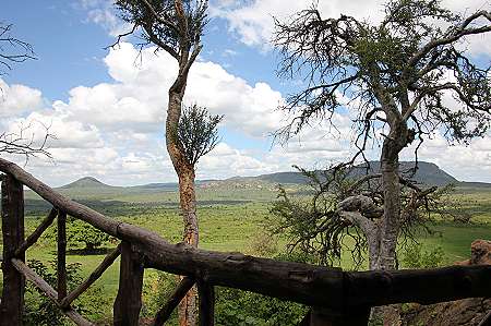 Ngulia Bandas oder Rhino Valley Lodge - Tsavo West National Park