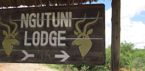Ngutuni Lodge and Reserve