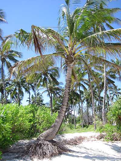 Mombasa Strand