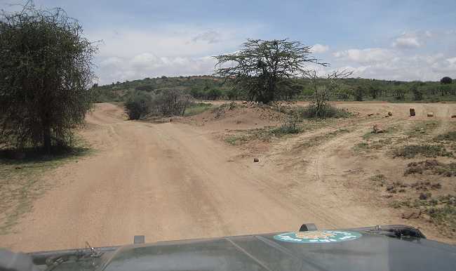 Masai Mara