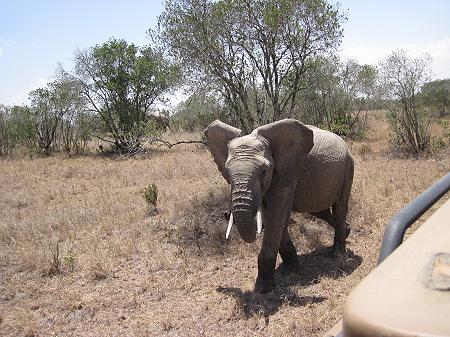 Ol Pejeta - Sweetwaters