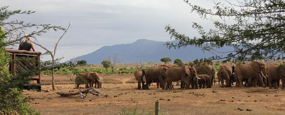 Sentrim Tsavo Camp ex Tarhi Camp