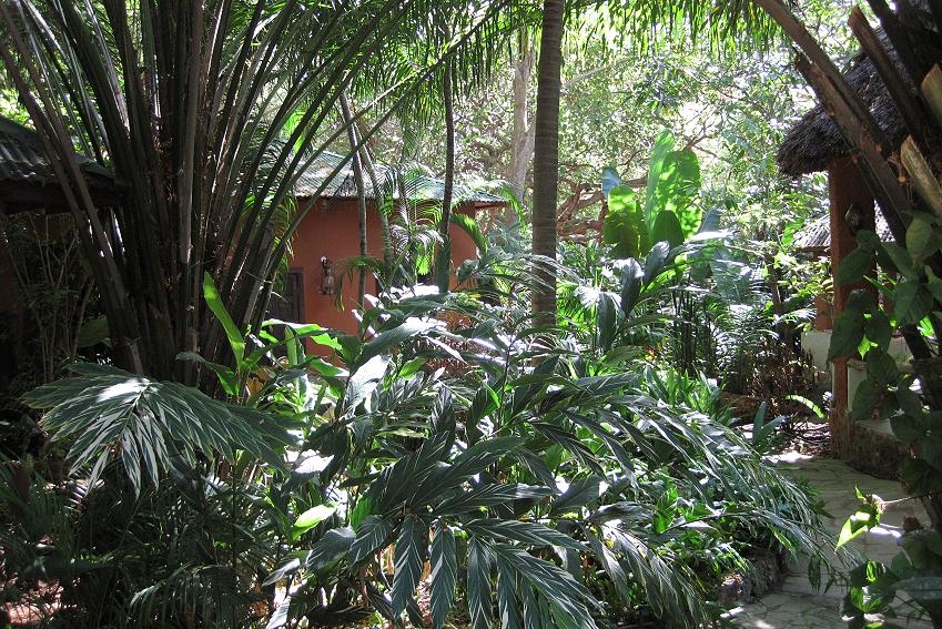 Boko Boko - Guesthouse, Kenya