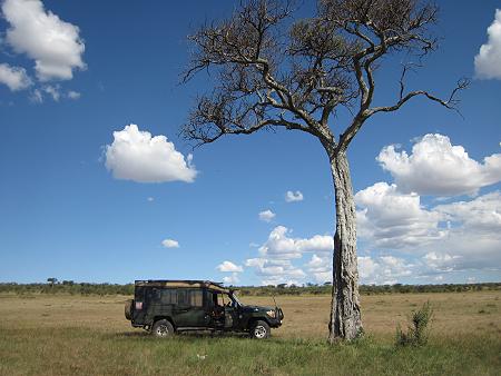 Gepardin Rani - Masai Mara