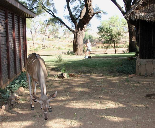 Samburu Game Lodge