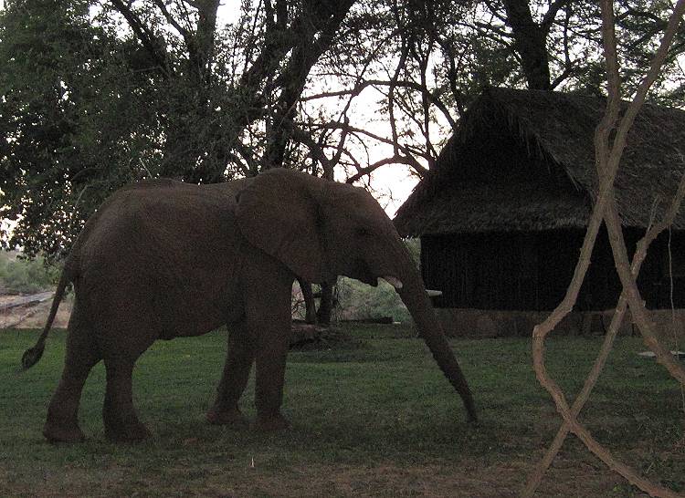 Samburu Game Lodge