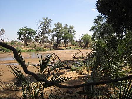 Samburu Game Lodge