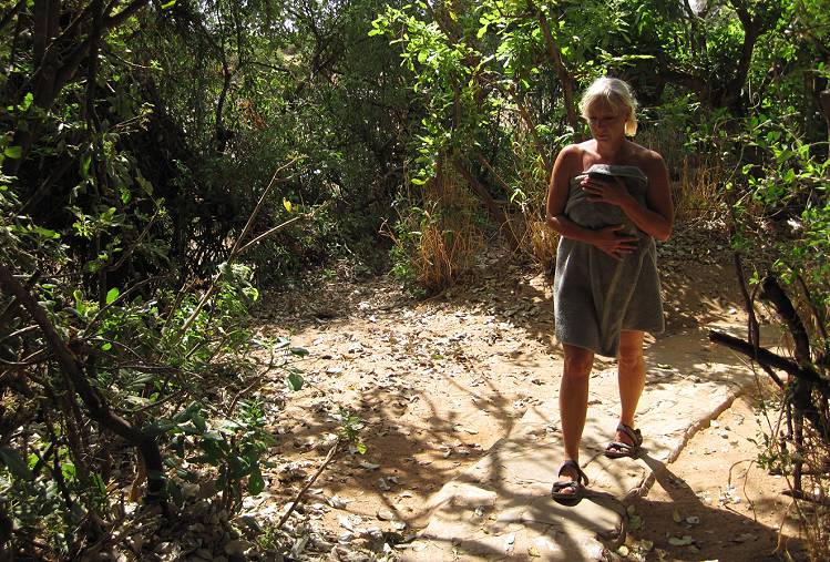 Lion King Bush Camp - Samburu