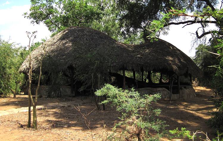 Lion King Bush Camp - Samburu