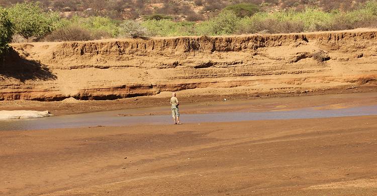 Lion King Bush Camp - Samburu