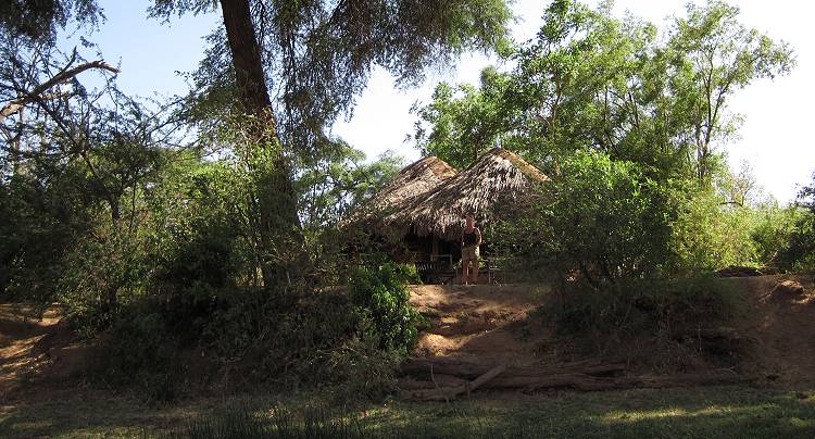 Lion King Bush Camp - Samburu