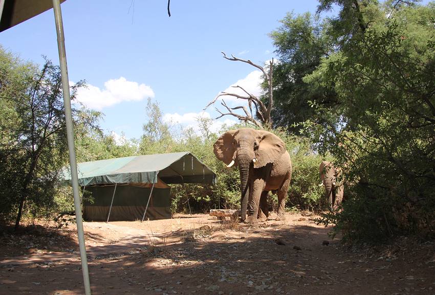 Lion King Bush Camp - Samburu