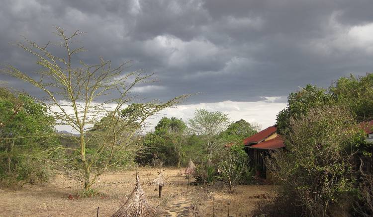 Sandai Farm - African Footprints