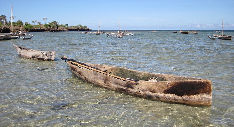 Mbuyu Bungalows - Msambweni Beach