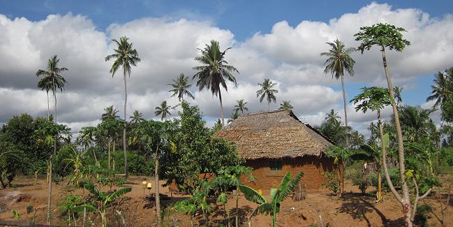 On the road to Msambweni Beach