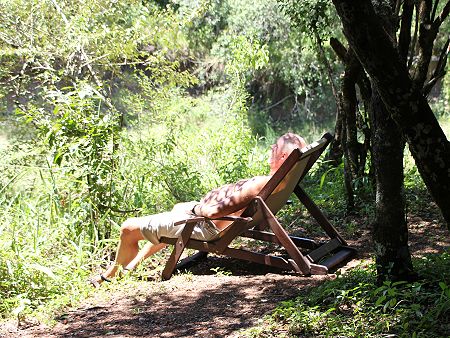 Mara Bush Camp