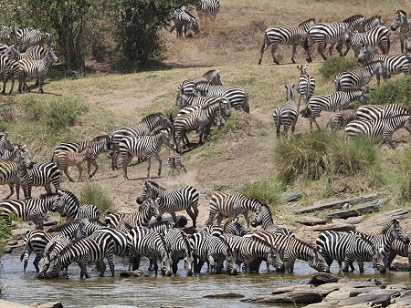 Zebra Crossing am Olare Orok