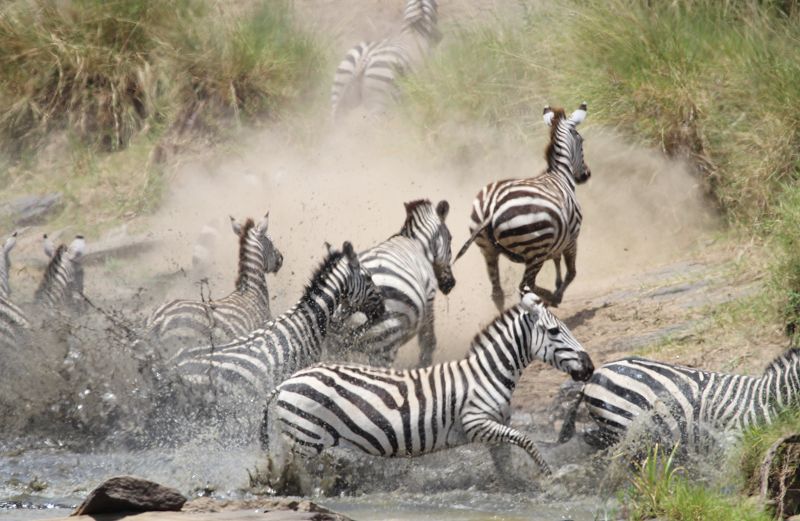 Zebra Crossing am Olare Orok