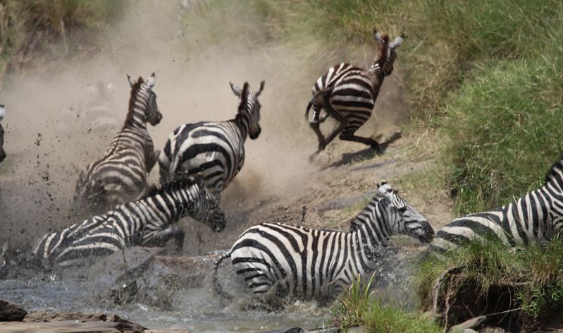 Zebra Crossing am Olare Orok