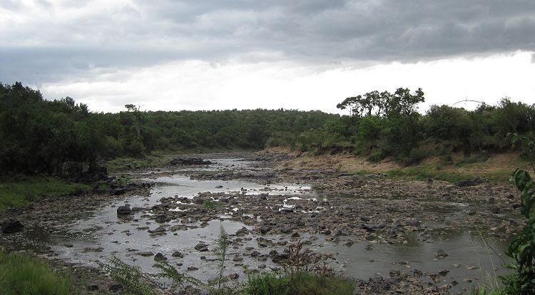 Mara Eden Safari Camp - Mara River