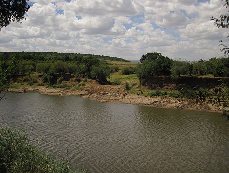 Mara Eden Safari Camp - Mara River