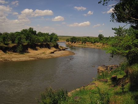 Mara Eden Safari Camp - Mara River