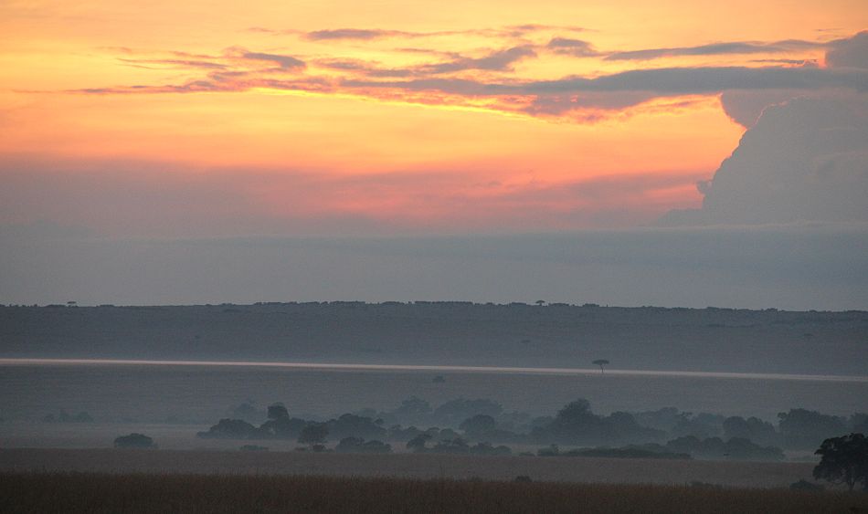 Nebel in der Masai Mara