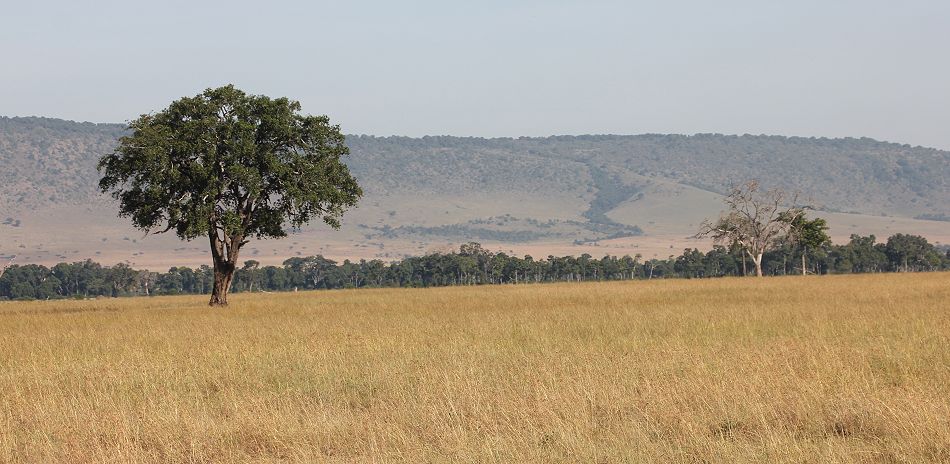 Masai Mara