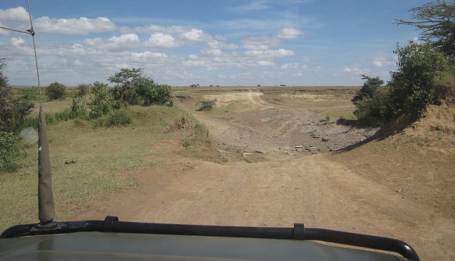 Double Crossing Masai Mara